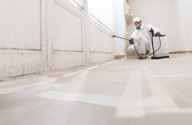 24/7 Emergency Mold Remediation experts in Woodstock, VA