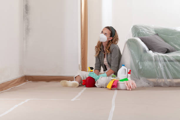 Reliable Mold Remediation contractor in Woodstock, VA by Mold Remediation HQ